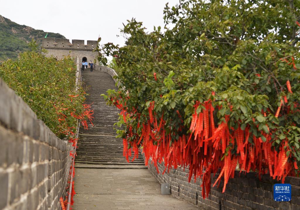 澳门大阳城电玩城